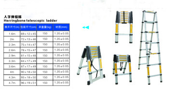 Folding ladder