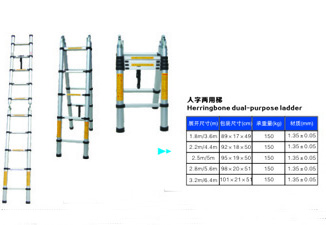 Folding ladder