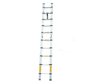 Folding ladder