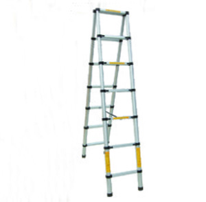 Folding ladder