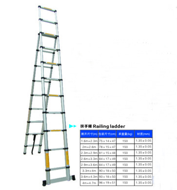 Folding ladder